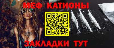 крисы Можга