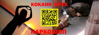 крисы Можга