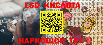 крисы Можга