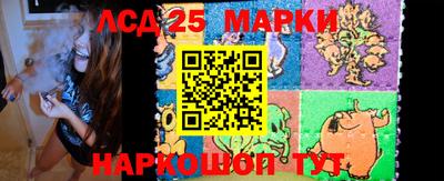 крисы Можга