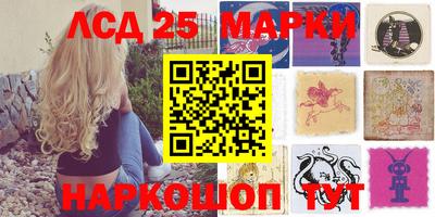 крисы Можга