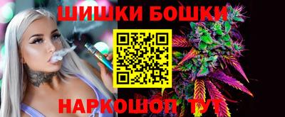 крисы Можга