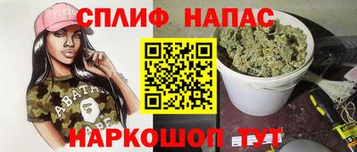 крисы Можга