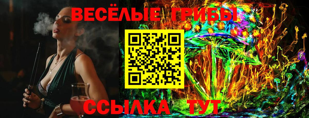 Псилоцибиновые грибы Cubensis  Вход с VPN  Черногорск 