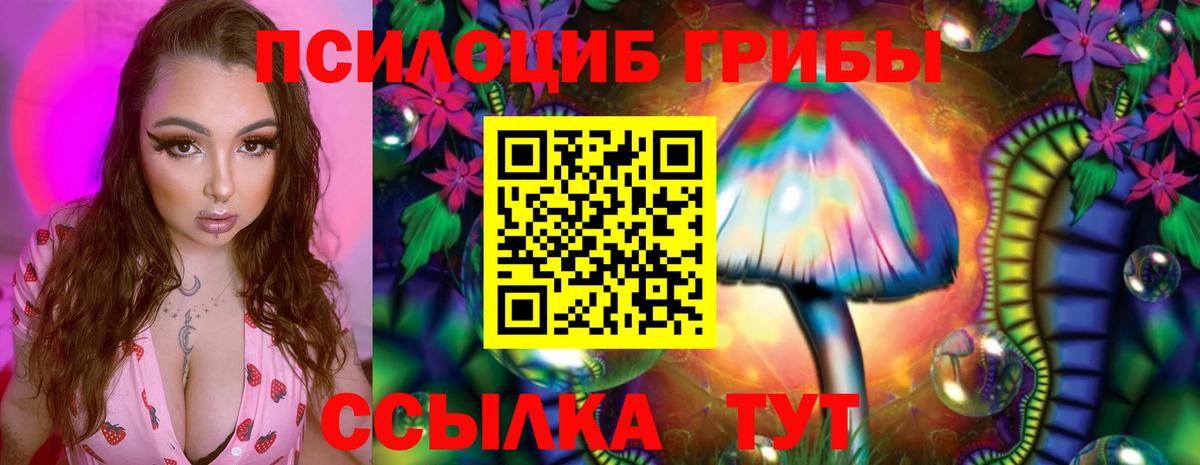 Галлюциногенные грибы мицелий Черногорск